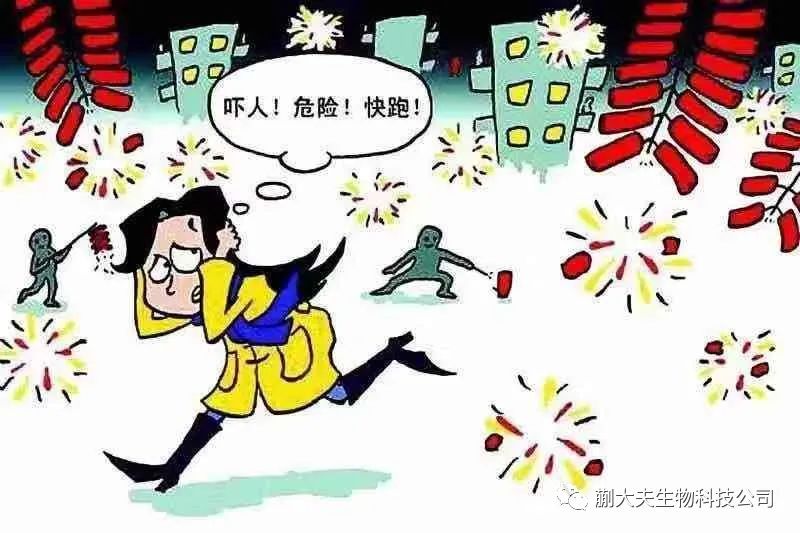 蒯大夫 蒯大夫
