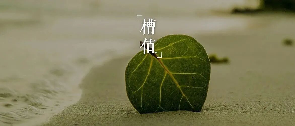 我，25岁，家里绿成一道光