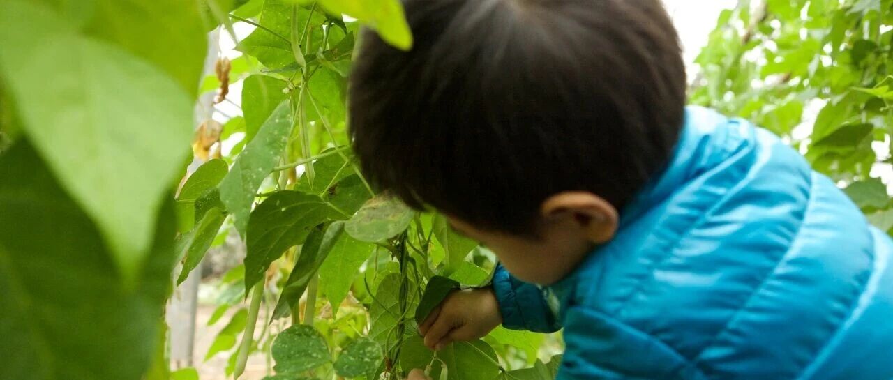 刘诗诗和她的魔丸儿子,其实都是爷爷奶奶眼中的梦中情孙