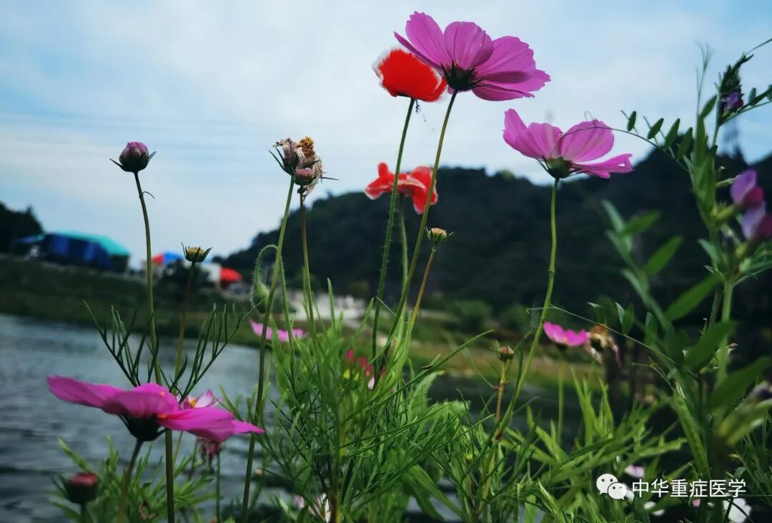 eternity什么麻醉机麻醉机发展历史（二）-上海聚慕医疗器械有限公司