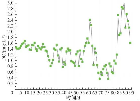 图6 提质增效后DO变化