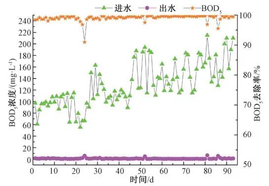 图2 提质增效后BOD5去除效果