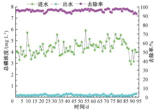 图8 提质增效后TP去除效果