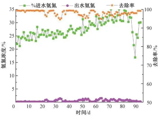 图3  提质增效后氨氮去除效果