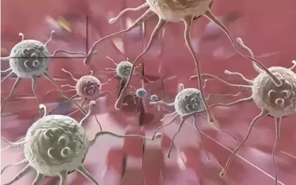 大揭秘：肽是如何“干掉”肿瘤的？