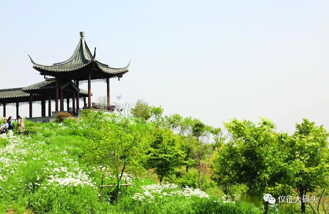 仪征市青山镇的龙山风景区濒临长江,景色优美.