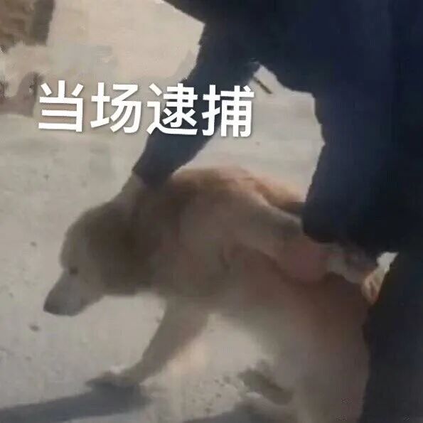 【爆笑】“为给男友买手机，女友下海拍片…”好家伙，难道这就是真爱吗？（组图） - 34