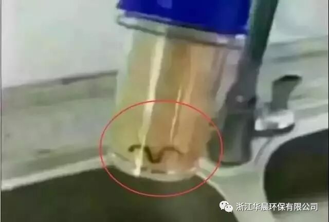 凈水器能為身體攔截什么？看看換下的濾芯就知道，你在拿身體開玩笑！(圖4)