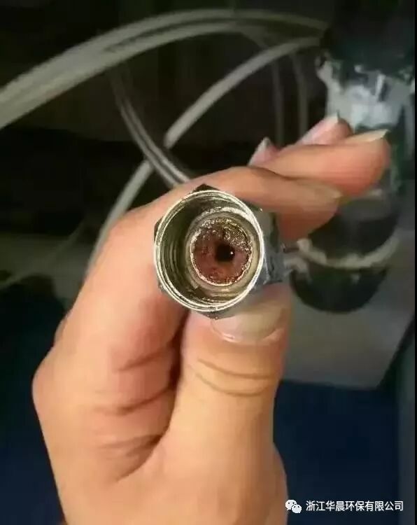 凈水器能為身體攔截什么？看看換下的濾芯就知道，你在拿身體開玩笑！(圖3)