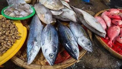 泉州爱吃海鲜的人注意了！现在看还不算晚！