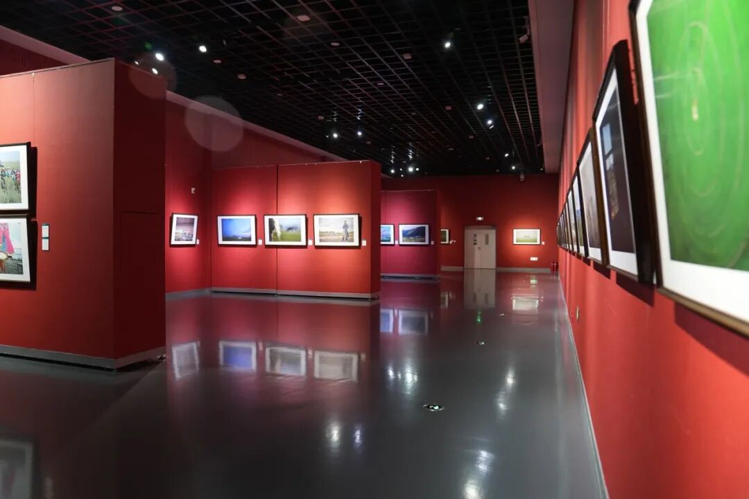 展厅调整公告丨展览换新装，空间更精彩 第4张