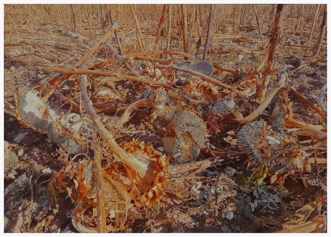 展讯｜第二届内蒙古自治区水彩画双年展 第12张