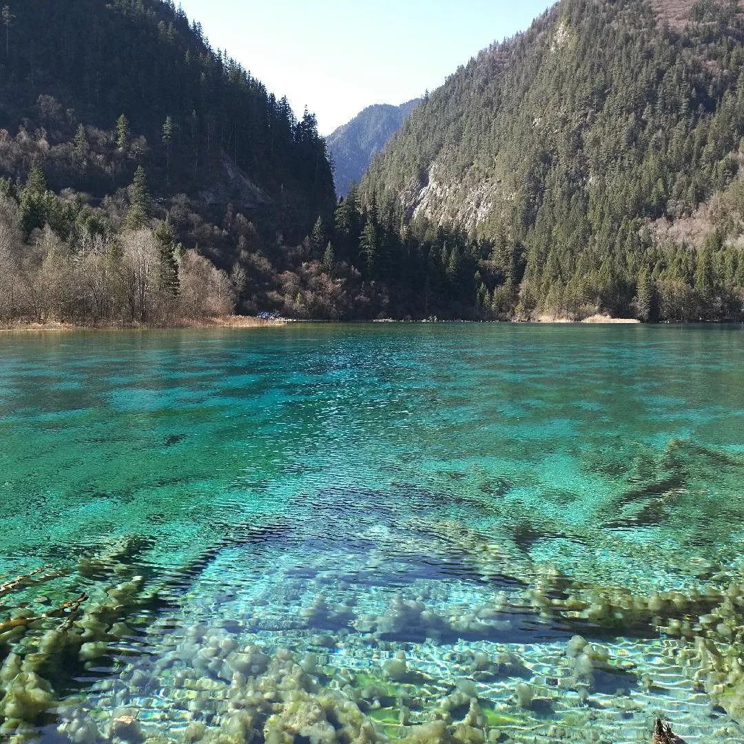 當代青年的彩虹屁教學，是從旅遊景點的課文開始的。 旅遊 第4張