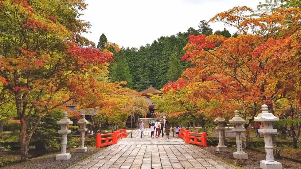 日本紅葉季最新預測來了！東京、大阪、京都最佳觀賞期已出~ 旅遊 第32張