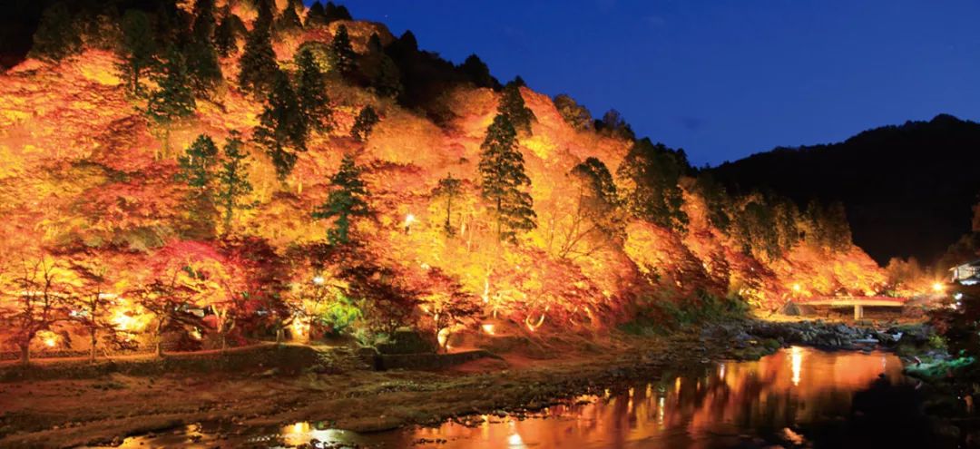 日本紅葉季最新預測來了！東京、大阪、京都最佳觀賞期已出~ 旅遊 第21張