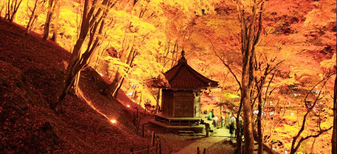 日本紅葉季最新預測來了！東京、大阪、京都最佳觀賞期已出~ 旅遊 第22張
