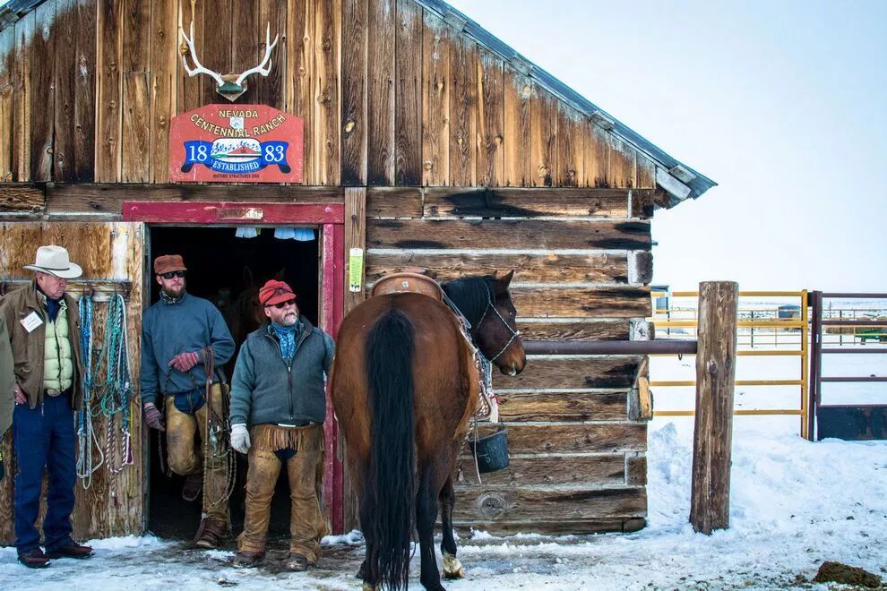 真实生活中的西部世界一场最刺激的成人娱乐