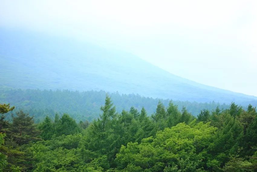 倒計時兩個月！日本車牌即將變身41道流動的風景 旅行 第17張