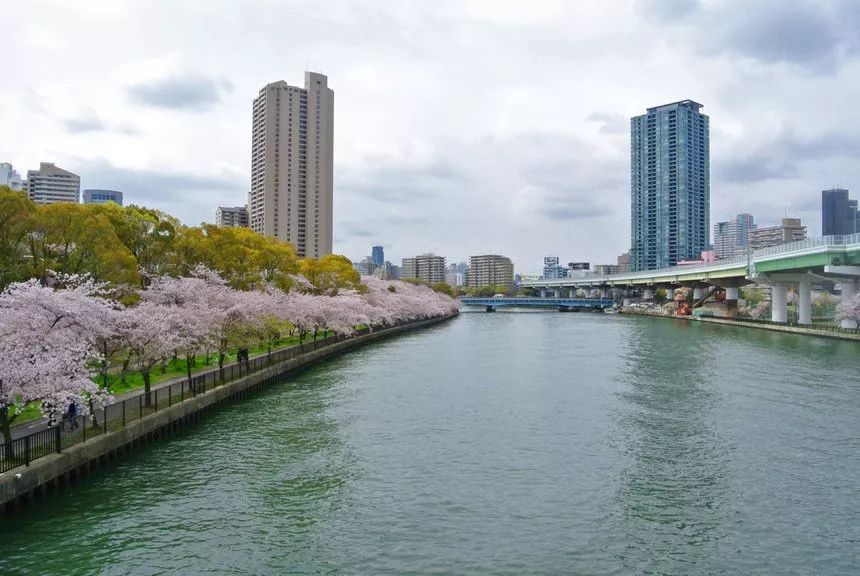 2019日本櫻花季首次預測！大眾冷門賞櫻地重磅推薦 未分類 第13張