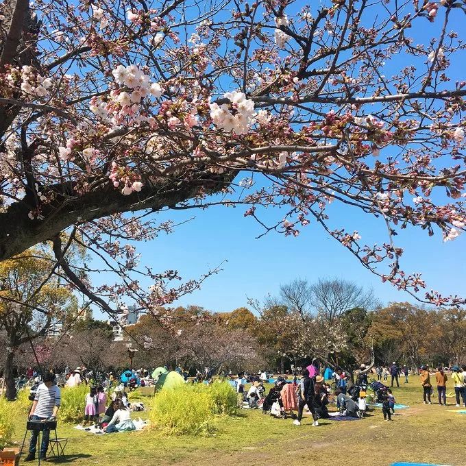 2019日本櫻花季首次預測！大眾冷門賞櫻地重磅推薦 未分類 第31張