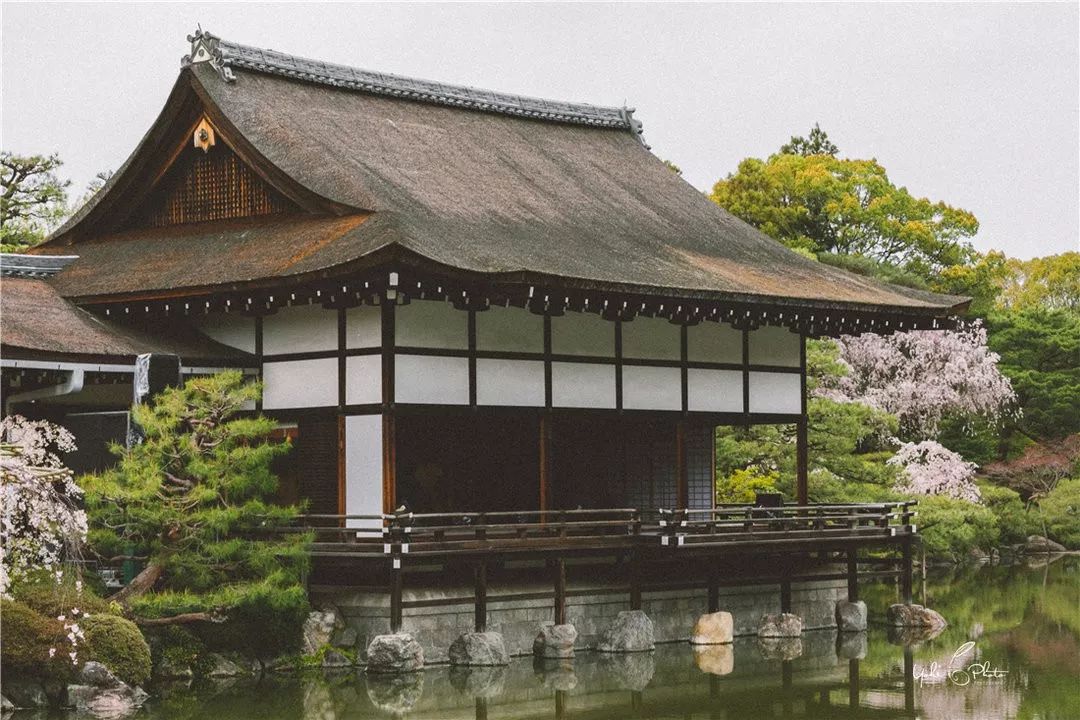 五入京都，探尋日式庭院的細節之美 旅行 第43張