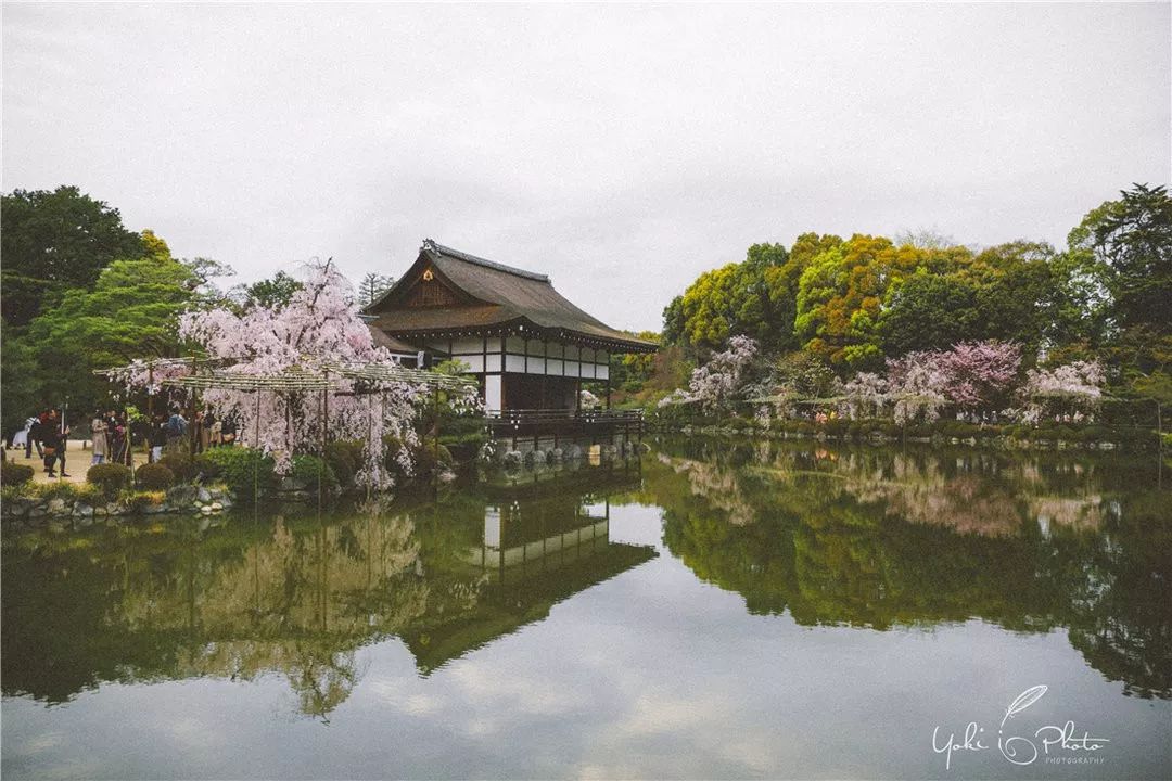 五入京都，探尋日式庭院的細節之美 旅行 第47張