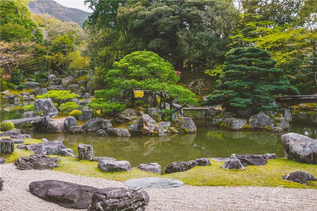 五入京都，探尋日式庭院的細節之美 旅行 第55張