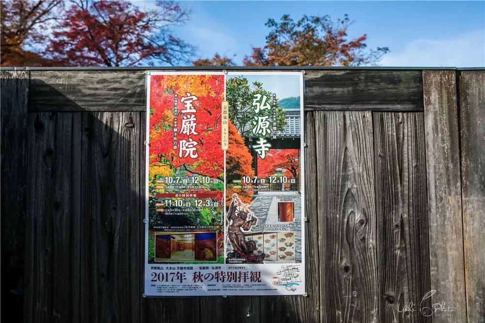 五入京都，探尋日式庭院的細節之美 旅行 第23張