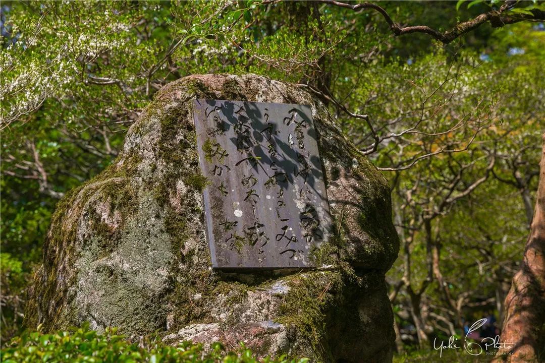 五入京都，探尋日式庭院的細節之美 旅行 第50張