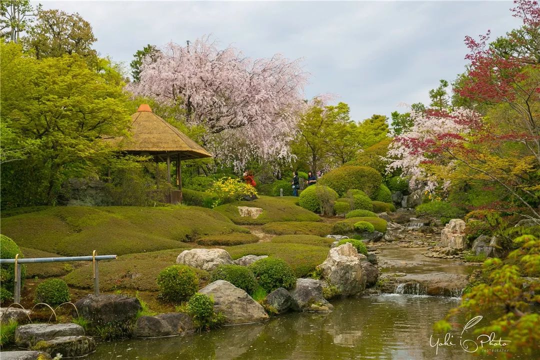 五入京都，探尋日式庭院的細節之美 旅行 第38張