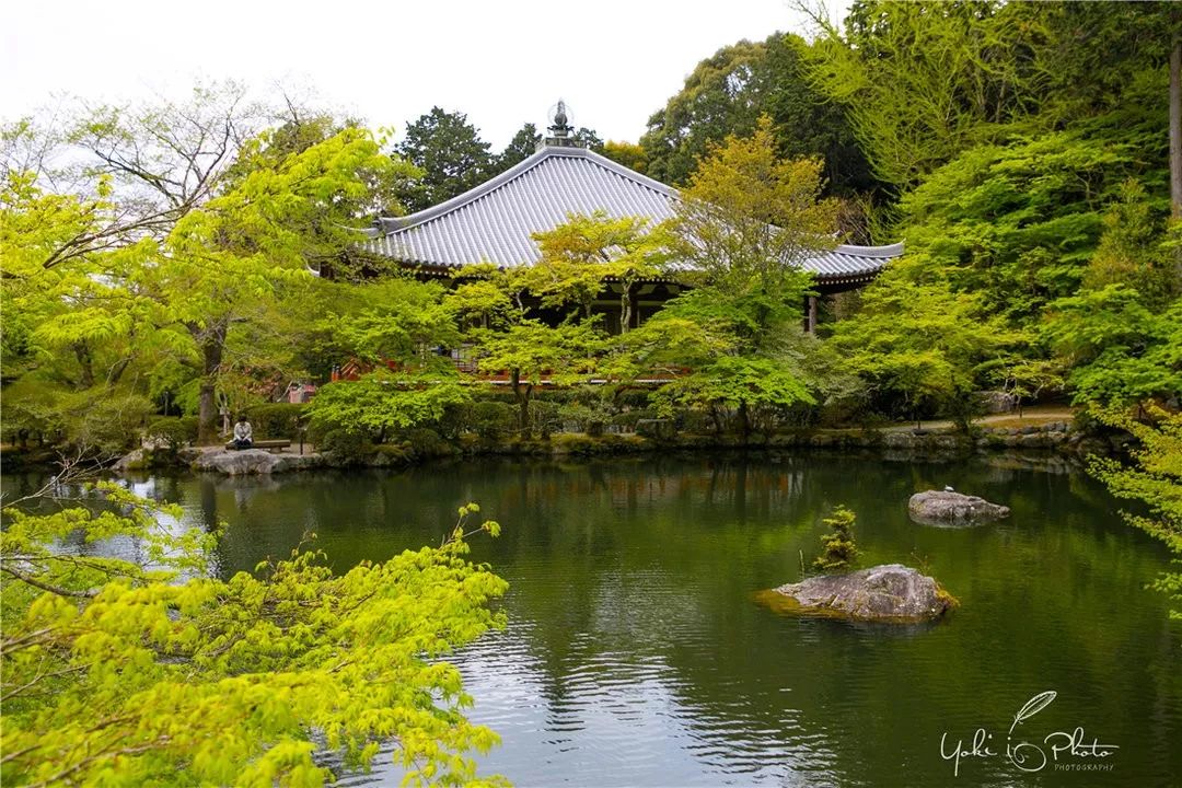 五入京都，探尋日式庭院的細節之美 旅行 第52張