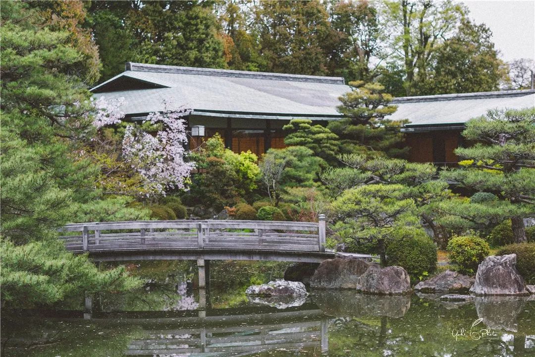 五入京都，探尋日式庭院的細節之美 旅行 第42張