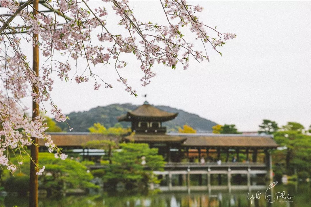 五入京都，探尋日式庭院的細節之美 旅行 第45張