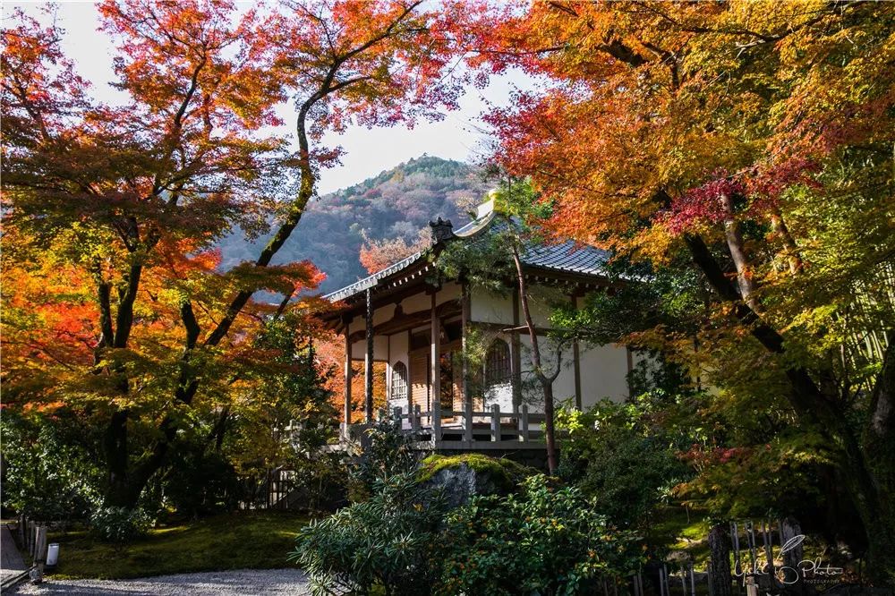 五入京都，探尋日式庭院的細節之美 旅行 第32張