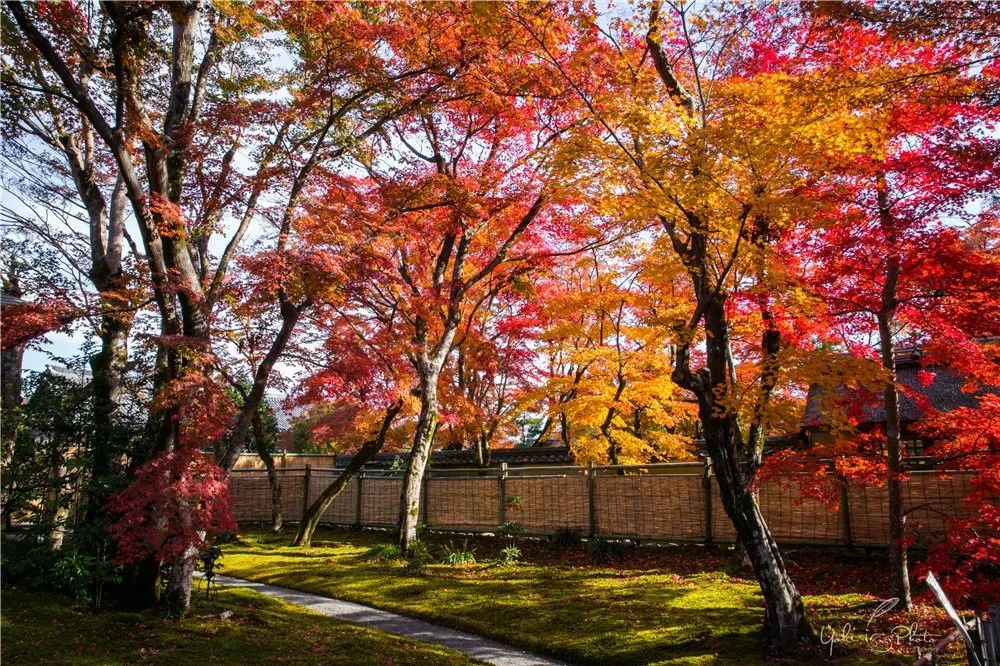 五入京都，探尋日式庭院的細節之美 旅行 第31張