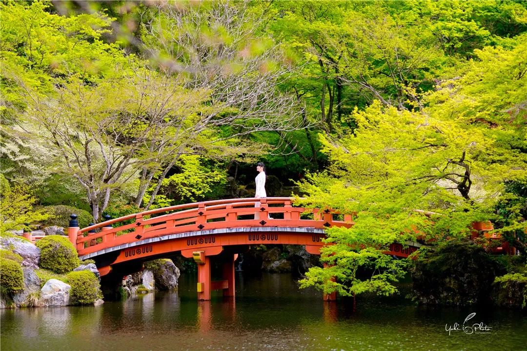 五入京都，探尋日式庭院的細節之美 旅行 第54張