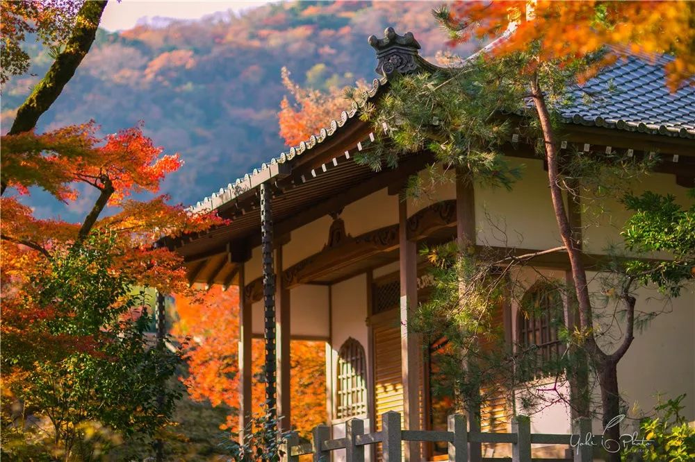 五入京都，探尋日式庭院的細節之美 旅行 第28張