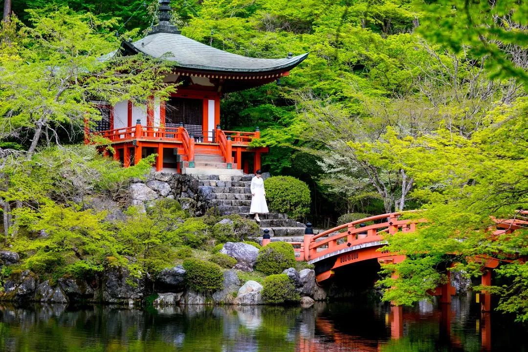 五入京都，探尋日式庭院的細節之美 旅行 第53張