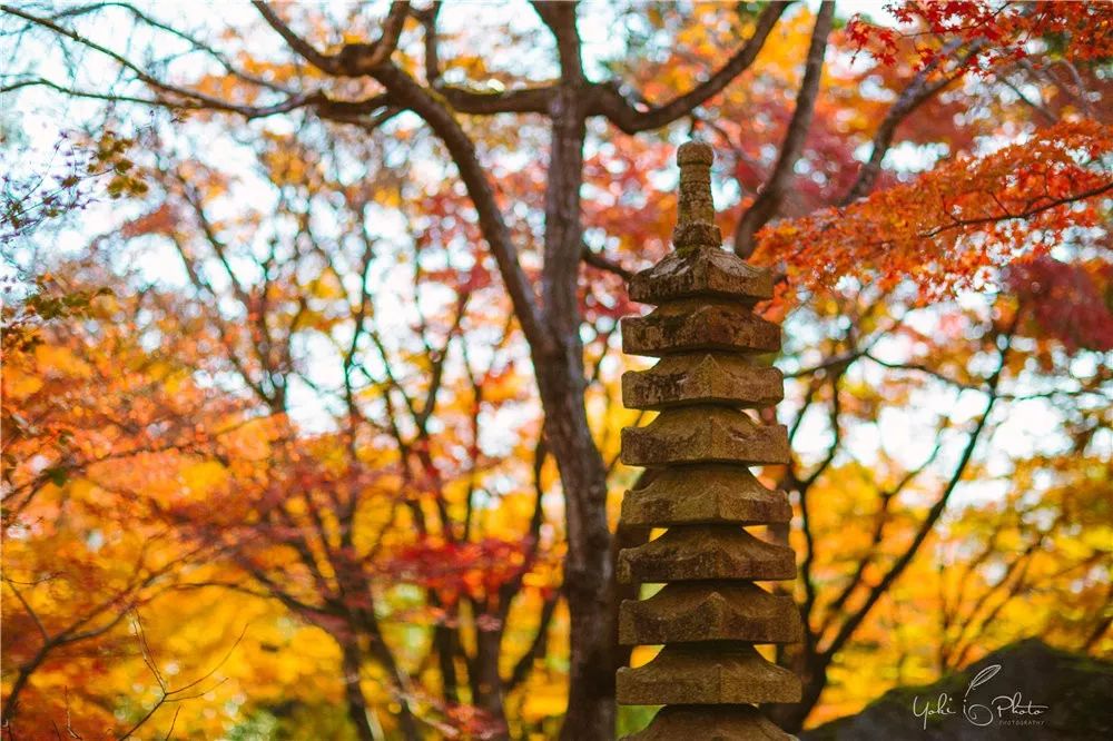 五入京都，探尋日式庭院的細節之美 旅行 第29張