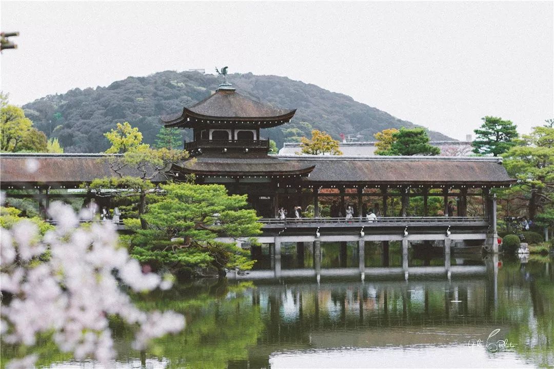五入京都，探尋日式庭院的細節之美 旅行 第44張