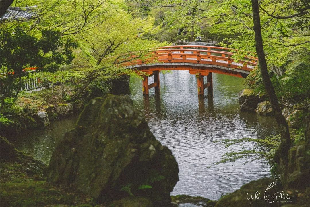 五入京都，探尋日式庭院的細節之美 旅行 第16張