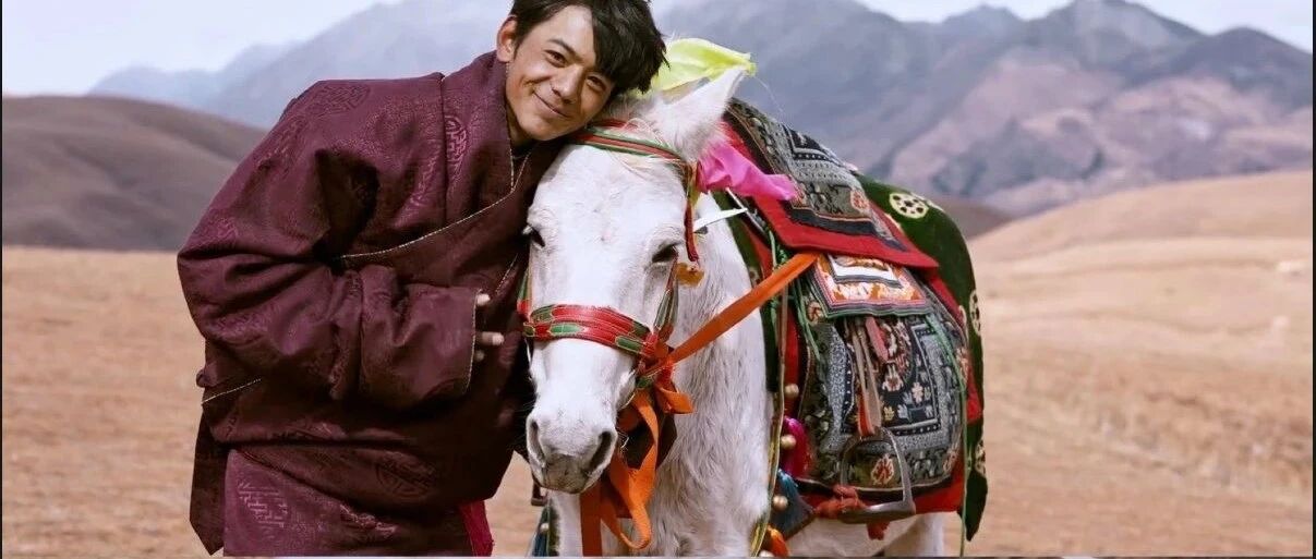 67个景区全部免费！我要去看丁真的马儿跑第一！