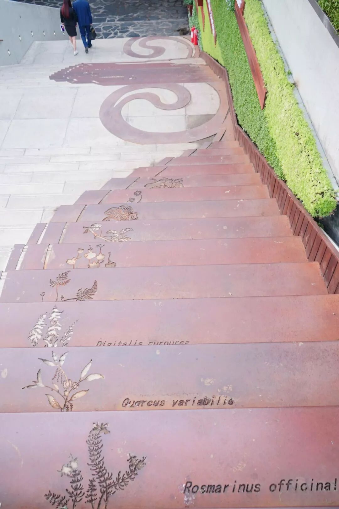 穷游网 自由微信 Freewechat