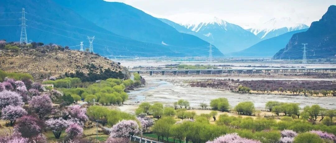 【VIP | 1人即可成行】林芝醉美桃花季，8天7晚寻9处私藏秘境，错过再等一年！