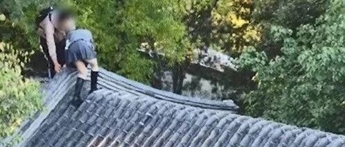 爬北海公园古建屋顶拍照？！旅游行迷惑大赏要上天！