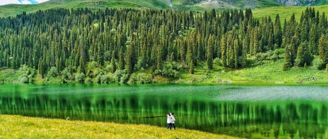 一到夏天，这里就成了新疆最美的地方。