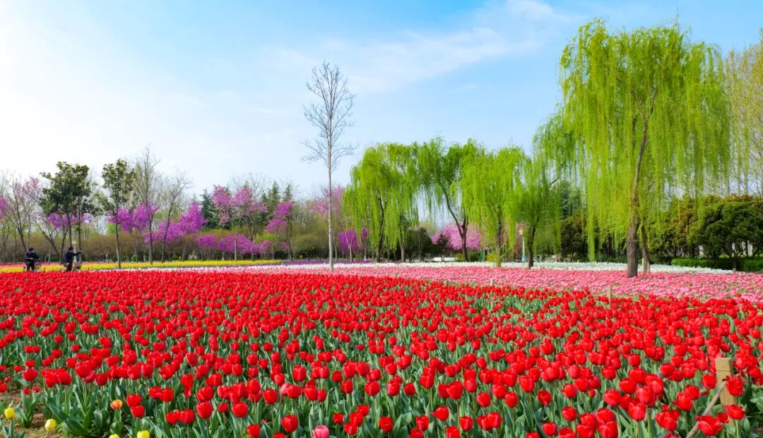 郑州绿博园成功入围第二批国家级文明旅游示范单位！