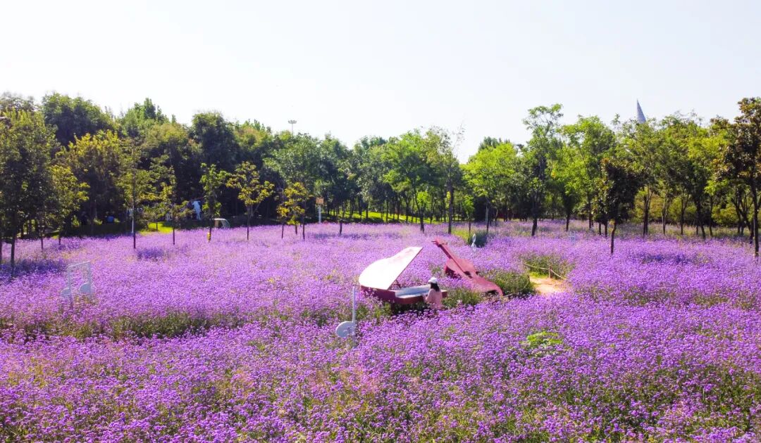 郑州绿博园成功入围第二批国家级文明旅游示范单位！
