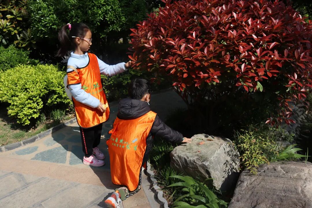 郑州绿博园两门自然教育课程荣获“2023年度自然教育优质活动课程”