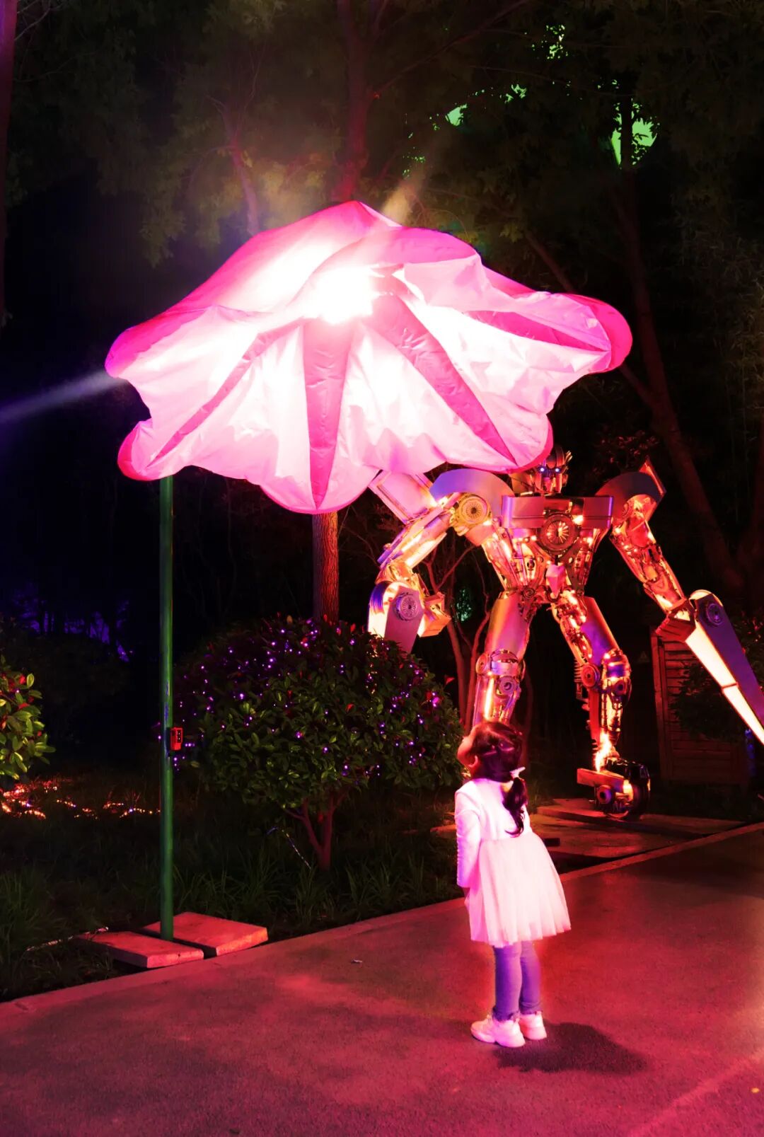 纷呈好戏，“龍”重登场！郑州绿博园新春文化节邀您快乐过“龘”年！